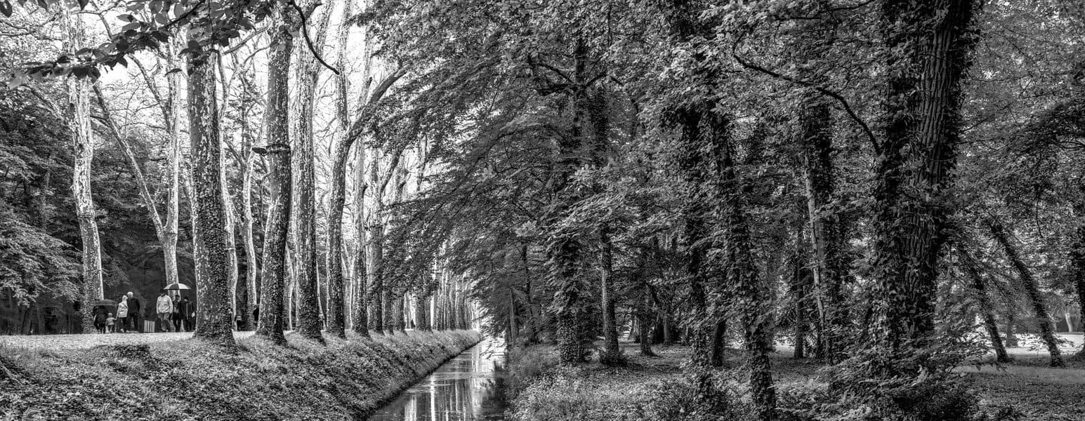 The wooded valley of Parc de Procé.