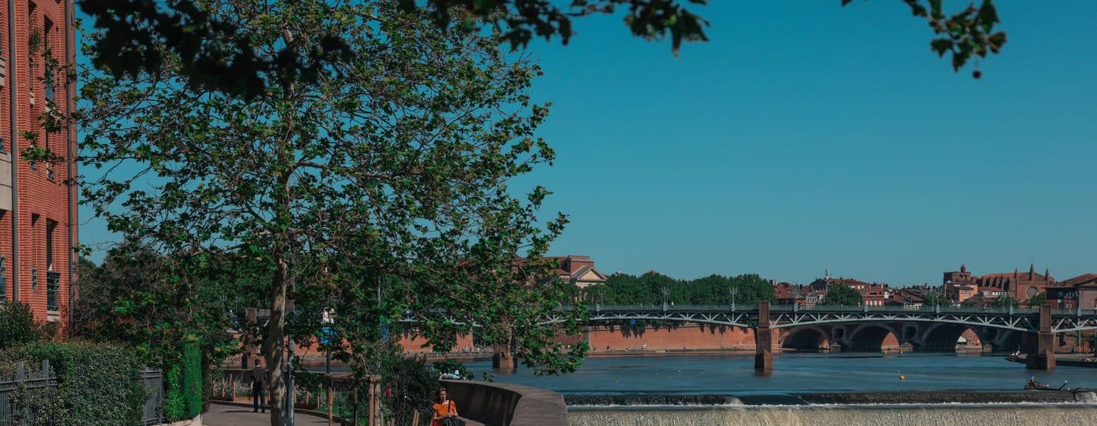 The Garonne and the Pont Neuf in Toulouse.